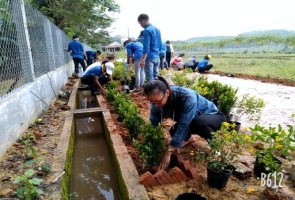 Phú Ninh phát động cuộc thi “Vườn - tường - đường đẹp”