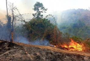 Đông Giang- Gần 200 người tham gia chữa cháy rừng phòng hộ