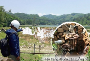 Phú Ninh- thiếu nước vì đê quay hỏng