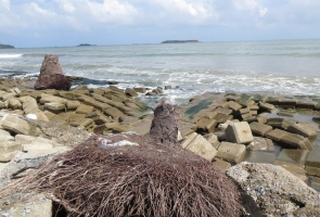 Đầu tư 30 tỷ đồng kè biển xã đảo Tam Hải