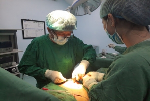 Phẫu thuật lấy hơn 200 viên sỏi trong túi mật của nữ bệnh nhân